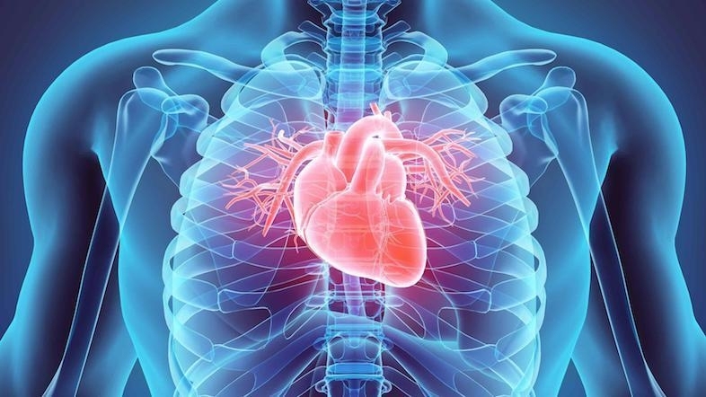 Revolutionary AI System Predicts Heart Attack Fatalities Using ECG Data Analysis