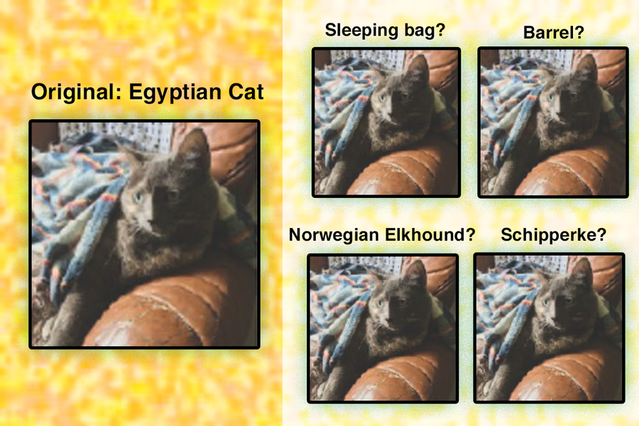 MIT-Harvard Team Unveils Brain-Like Layer to Fortify AI Vision Systems