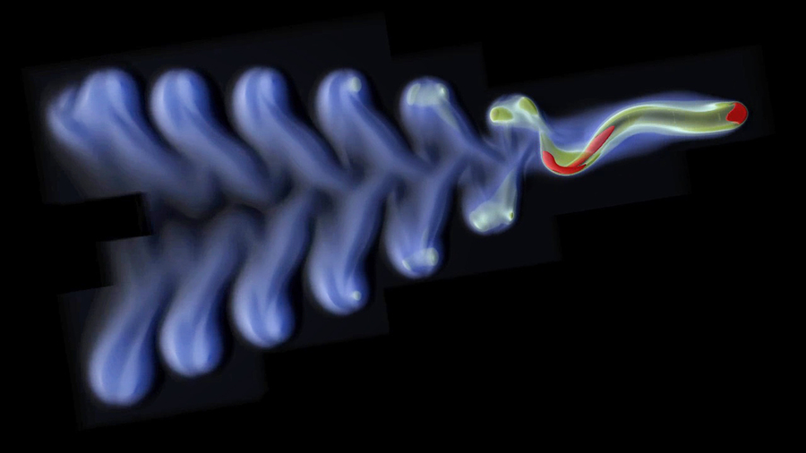 Revolutionary AI Computing Technologies Transforming Ocean Exploration and Conservation